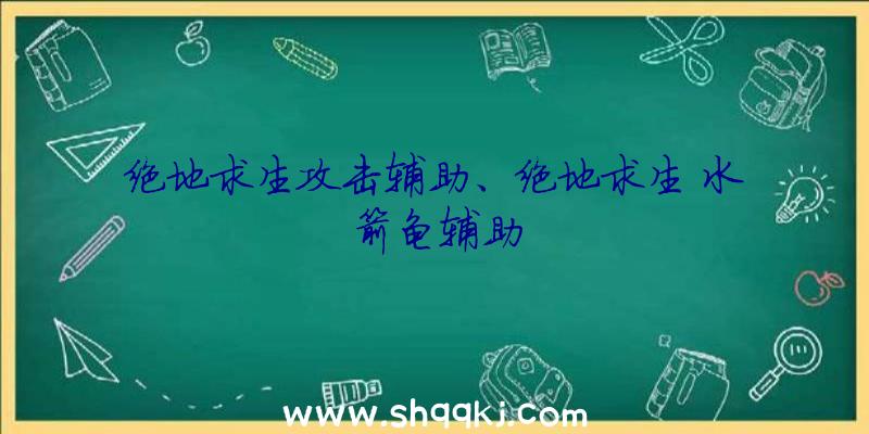 绝地求生攻击辅助、绝地求生